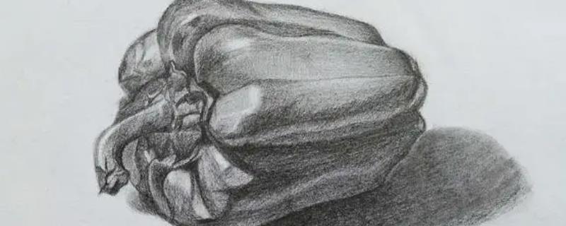 画画学素描还是漫画好，二者各有优点