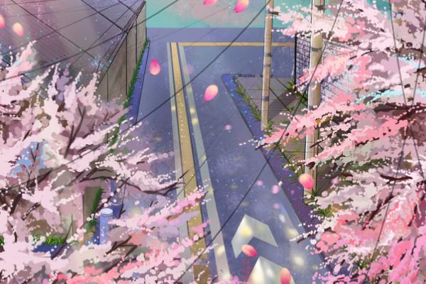 怎么判断是海报和插画，可以从视觉要求、绘画要求等方面判断