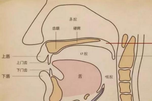 怎么做配音的哼鸣练习，可开口哼鸣也可闭口哼鸣