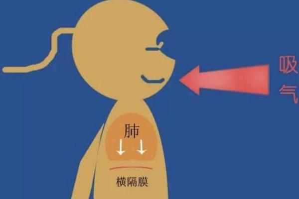 用丹田发声的方法，放松身体后深吸气、让气息沿着鼻孔到达丹田