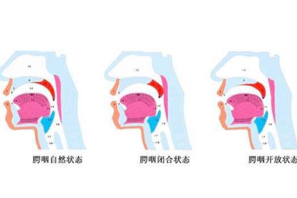 有哪些配音共鸣，可以利用口腔共鸣、鼻腔共鸣等