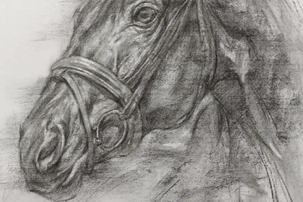 素描怎样画，要注意物体的透视关系
