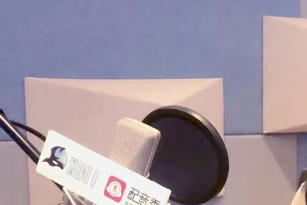 配音叫喊声怎样运用技巧，要学会运用发声技巧