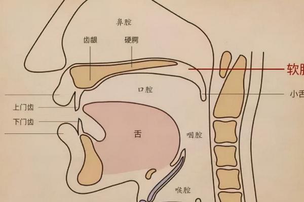 男生声音怎样变得低沉，可采用胸腔共鸣的发声方法