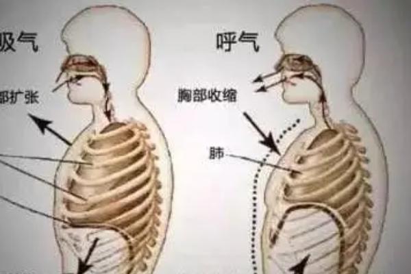 怎么练发声，包括呼吸训练，发声器官训练
