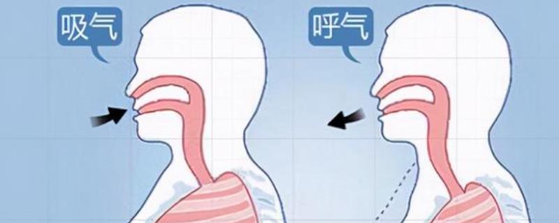 怎么练发声，包括呼吸训练，发声器官训练