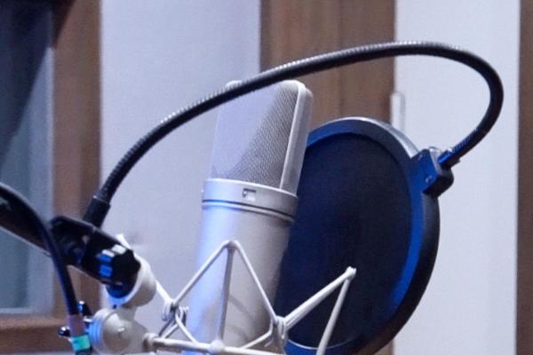 嗓音的发声类型，常见的有戏剧性女高音、抒情女高音、花腔女高音等