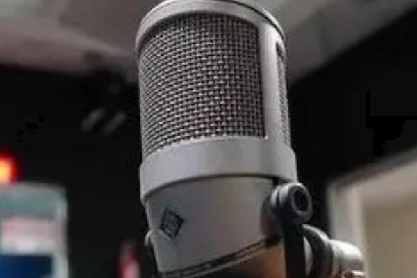 动漫中常见的配音风格，分为热血冲动型、粗犷大气型等