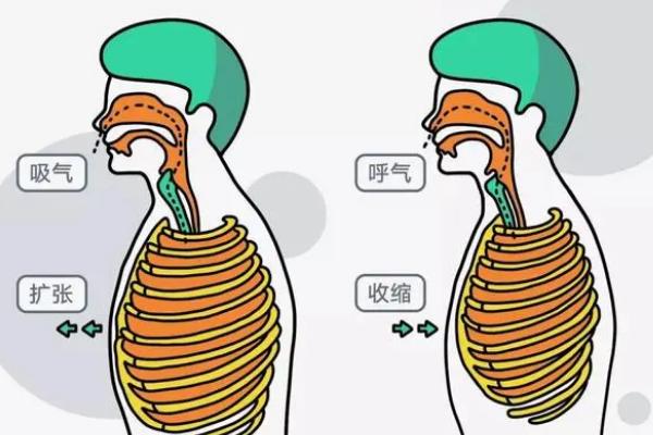 说话声音比较小怎么处理，改善呼吸方式、练习发音器官