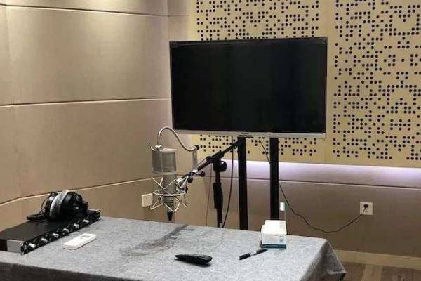 配音员什么样的工资收入算高收入，不同城市的收入水平不同