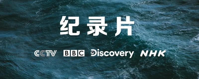 纪录片的类型,分为阐述型、观察型等