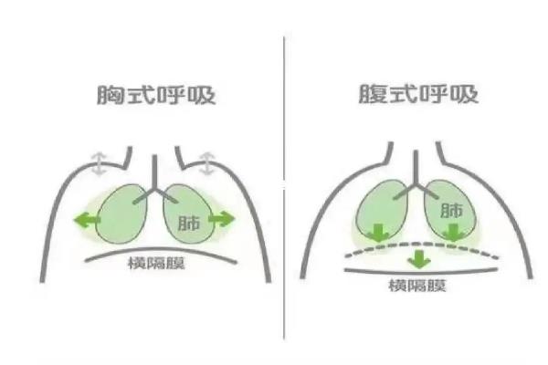 主持人吟诵的方法，包括文字谱、声调谱、唱腔谱、文气谱