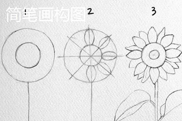 简笔画和透视插画的构图一样吗，二者的构图和透视插画是不一样的