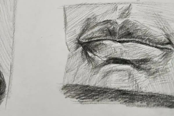 学插画的技巧，首先需要培养良好的观察力