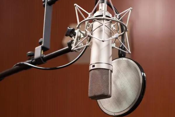 试音提交的干音需做什么处理，主要有降噪、混响和音色处理