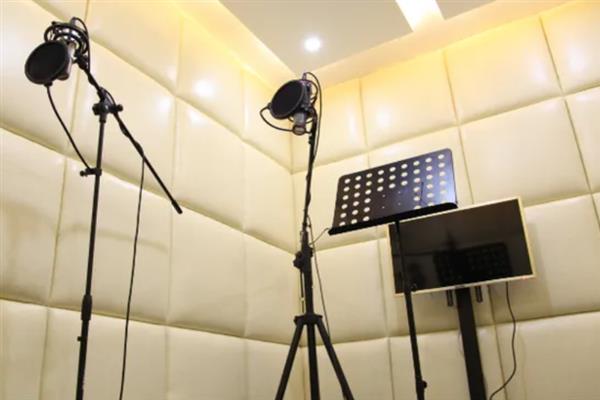 录音设备有电流声如何解决，麦克风属性中要选择噪音抑制和回音消除